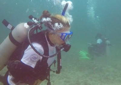 Dive and Volunteer Camp: Marine Biology and Wildlife Conservation (Pacific Coast Ecuador)