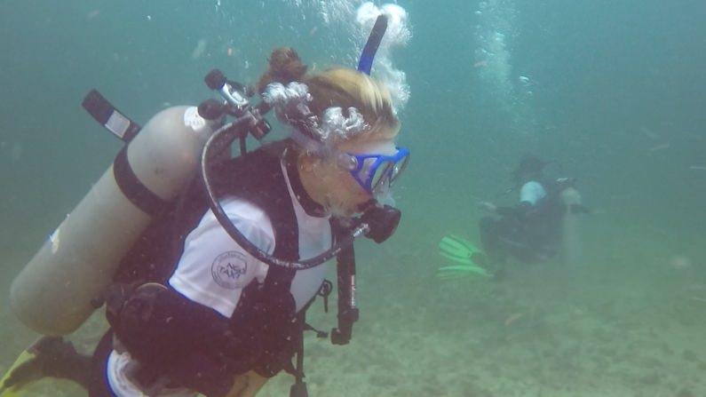 Dive and Volunteer Camp: Marine Biology and Wildlife Conservation (Pacific Coast Ecuador)