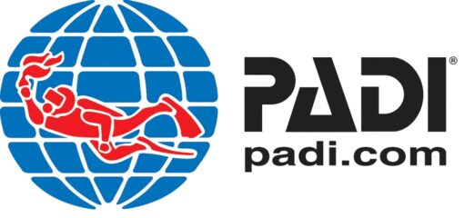 » Padi Logo