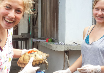 girl volunteer holing turtle with other girl volunteer