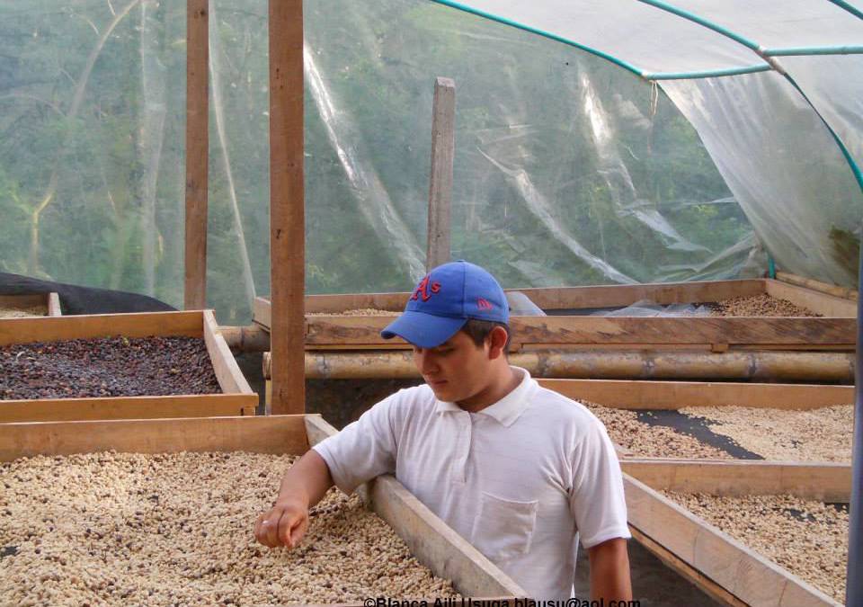 Help Local Farmers Build Their Businesses to Gain Autonomy (Colombia)!